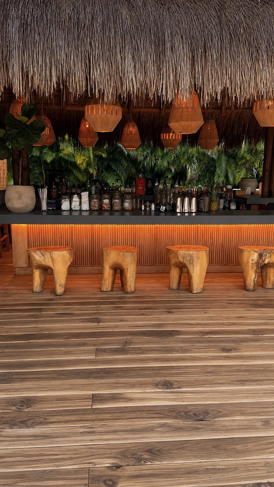 Wide view of the illuminated tropical bar