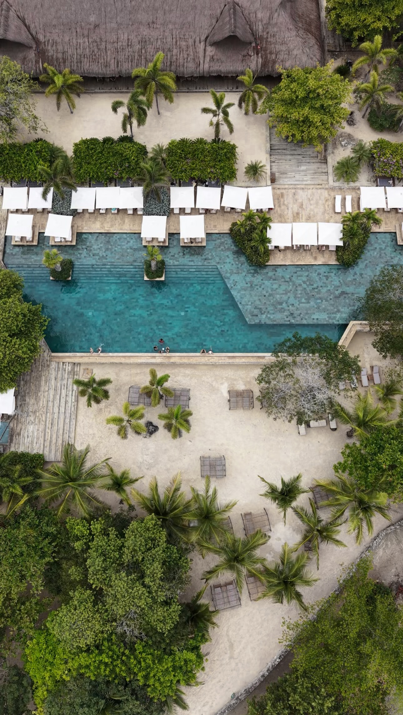 Aerial view of the hotel pool, beach and tropical gardens