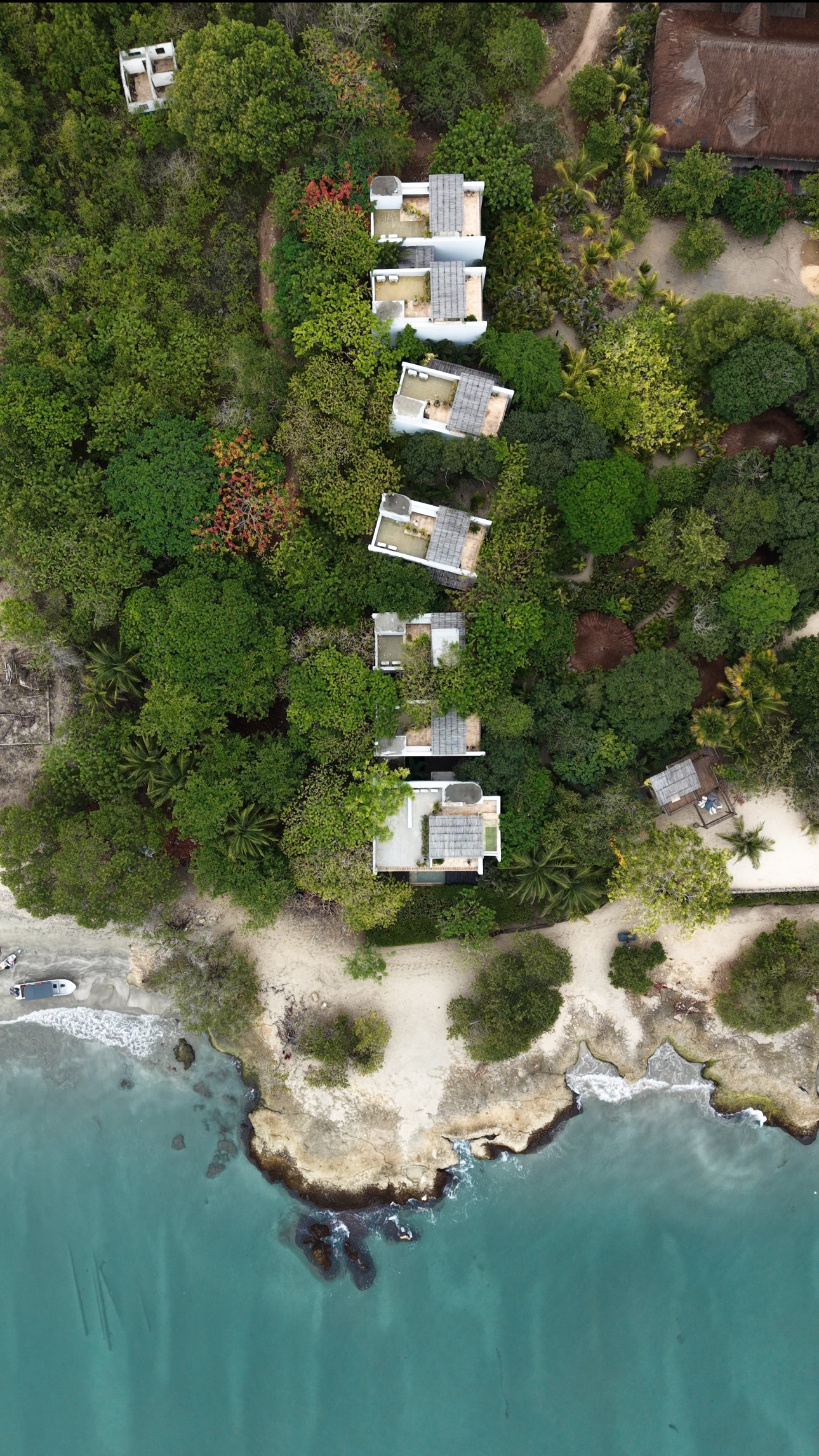 Aerial view of private suites in tropical vegetation